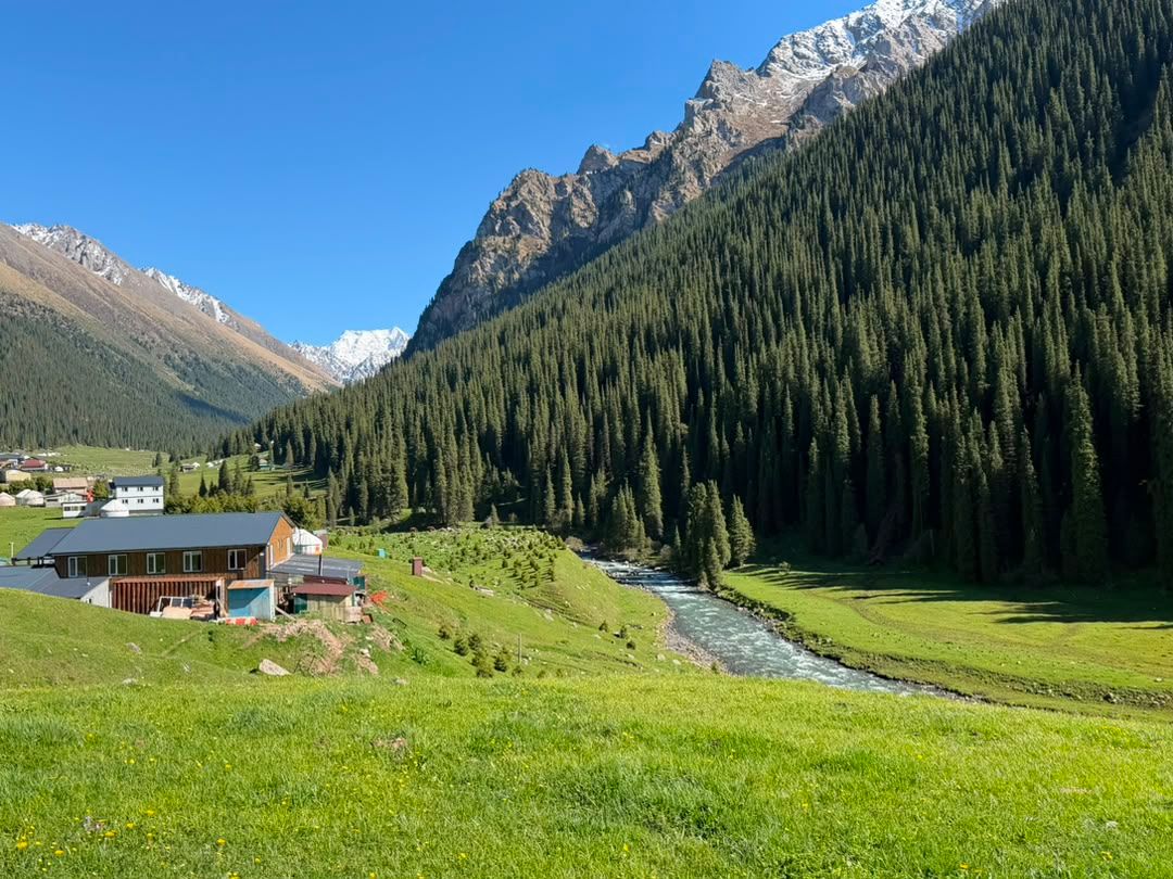 Forested alpine valley with a river, meadow buildings, and steep snow-streaked mountains.