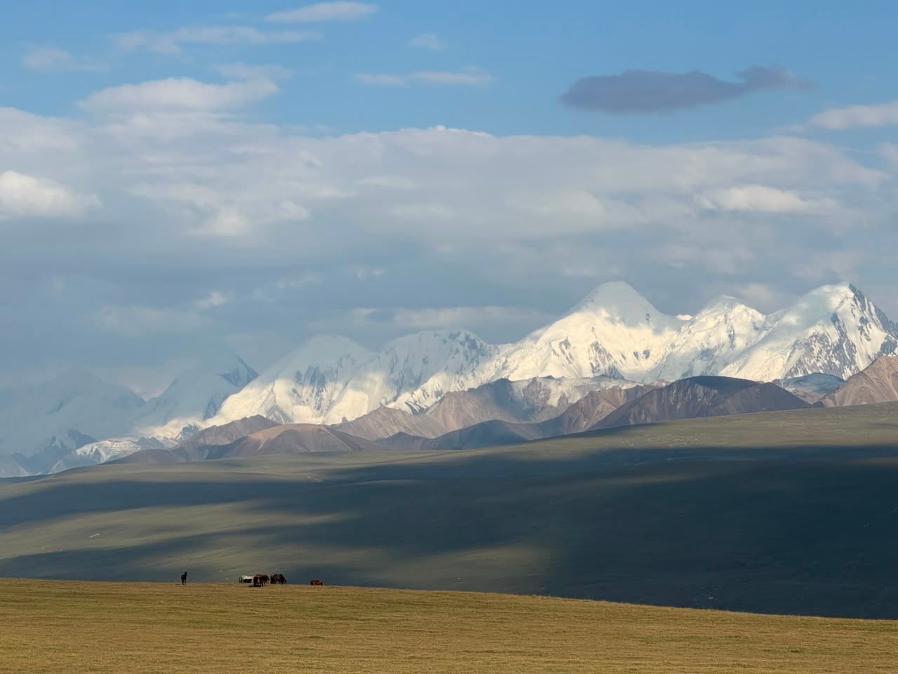 Wide view of a high plateau and distant snow mountains with a small herd near the horizon.