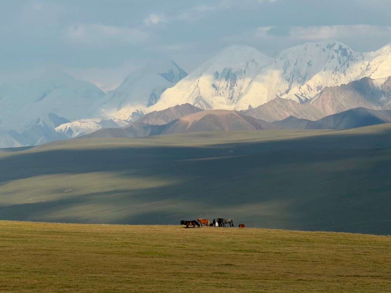 Distant herd on an alpine plain beneath sunlit snow peaks.