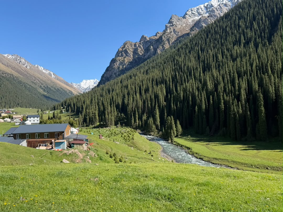 Forested alpine valley with a river, meadow buildings, and steep snow-streaked mountains.