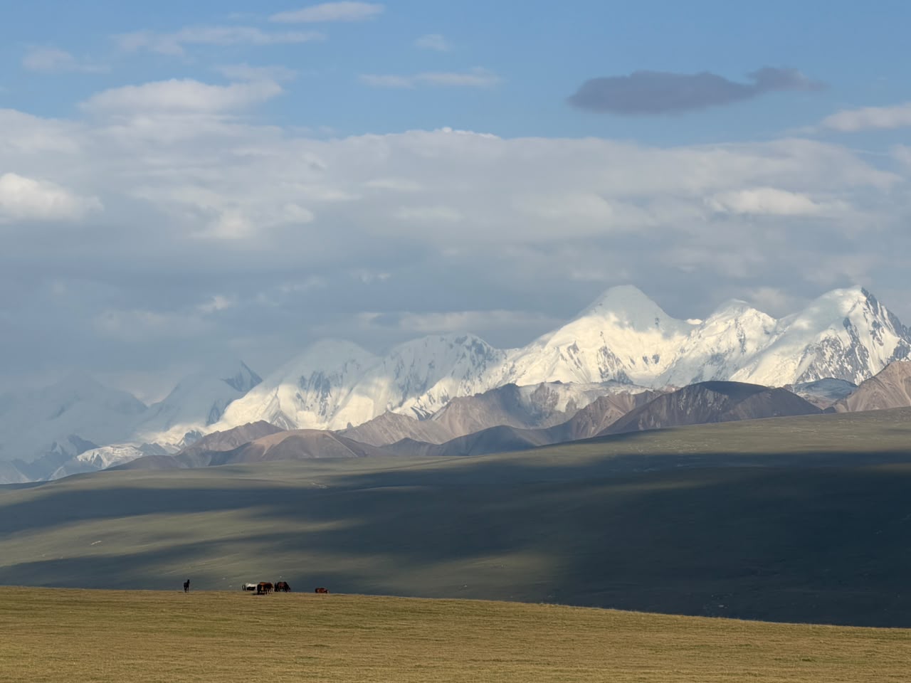 Wide view of a high plateau and distant snow mountains with a small herd near the horizon.