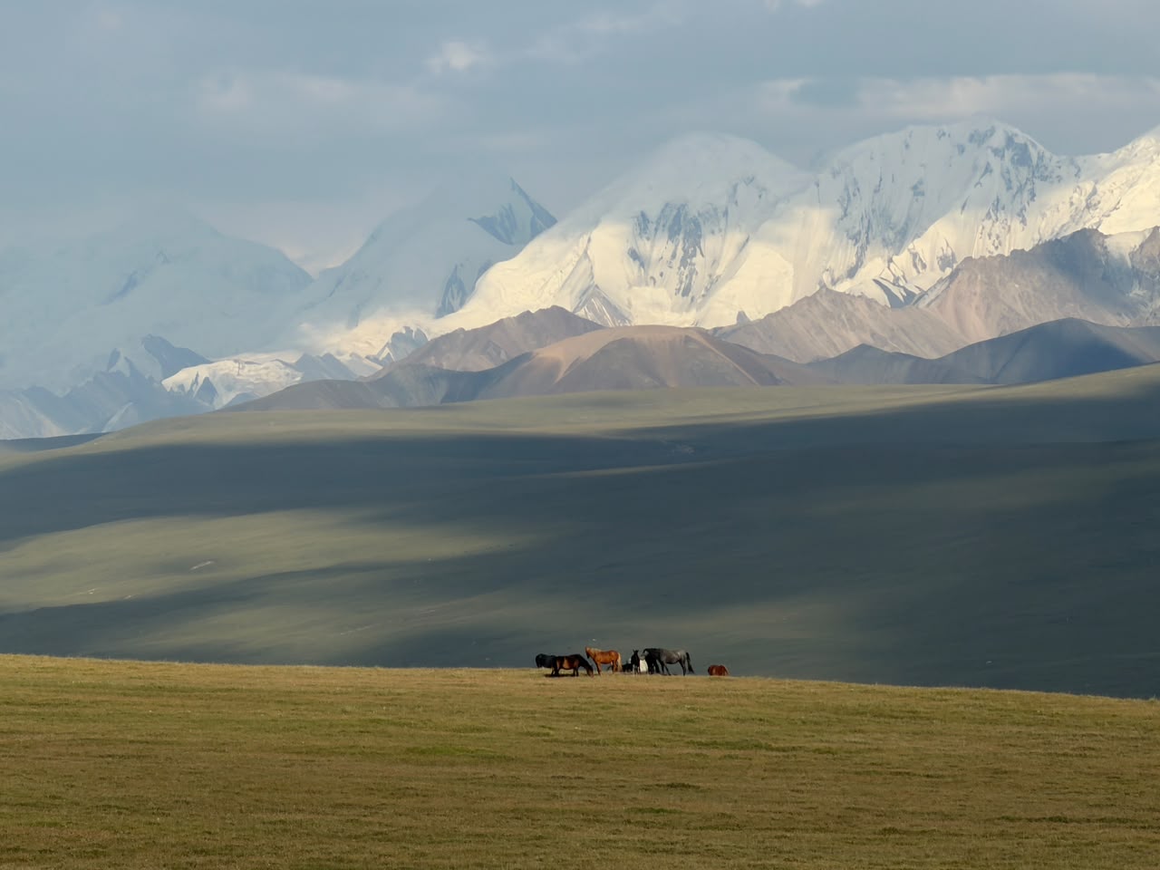 Distant herd on an alpine plain beneath sunlit snow peaks.